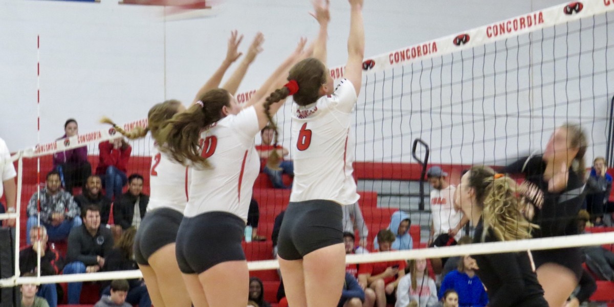 Cardinals pickup set but fall to Lourdes 3-1 in afternoon matinee