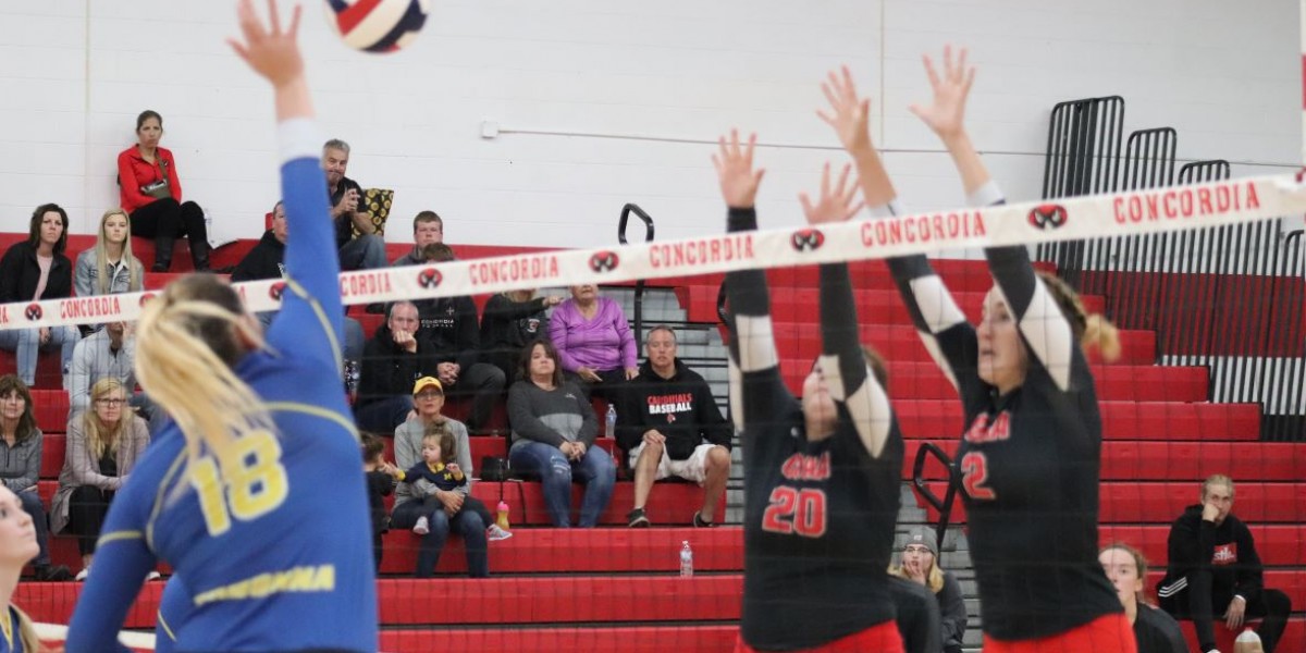Volleyball falls to the Crusaders in four sets