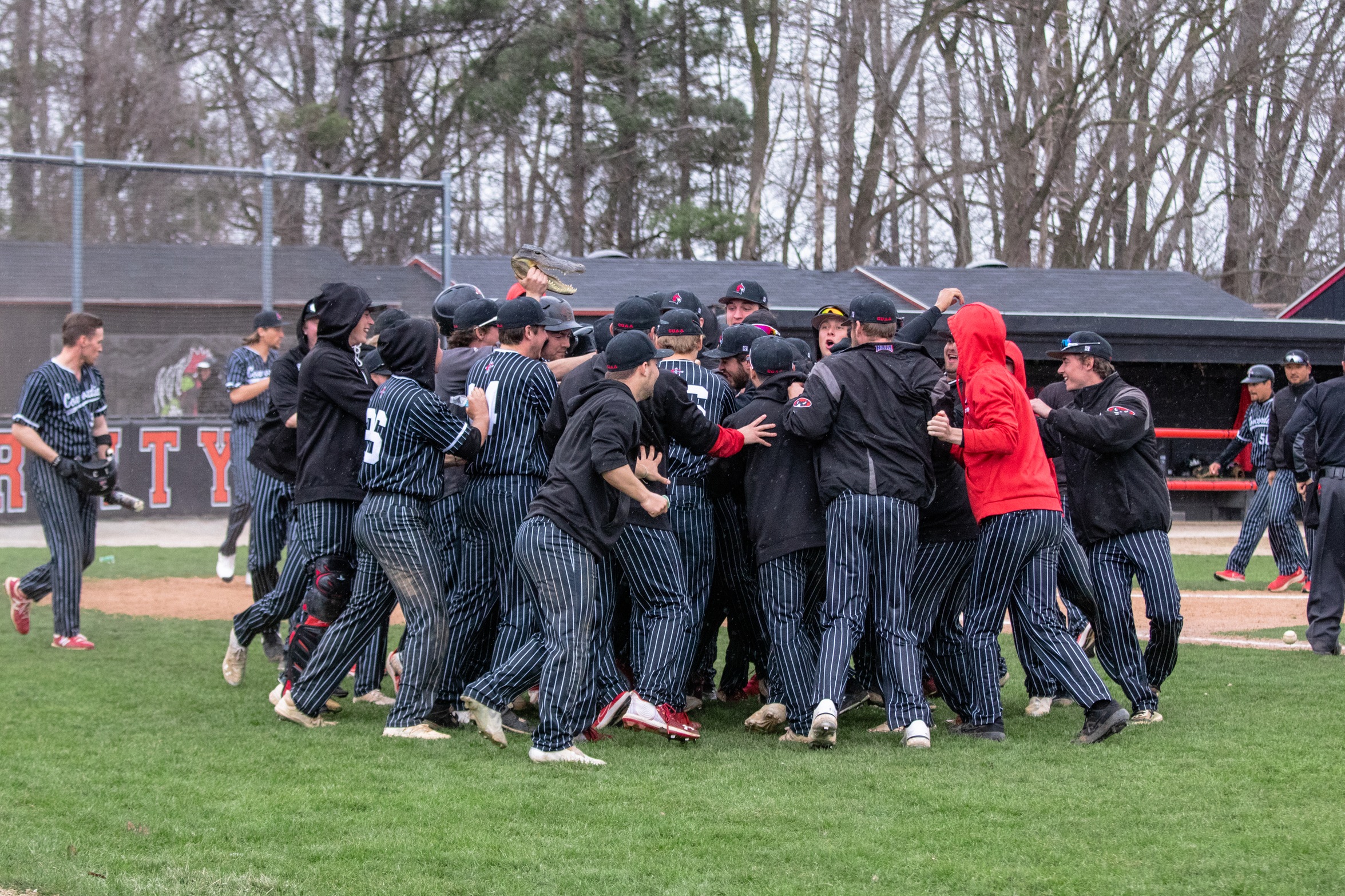 WHAC Preview: Baseball prepared for WHAC Tournament at UNOH