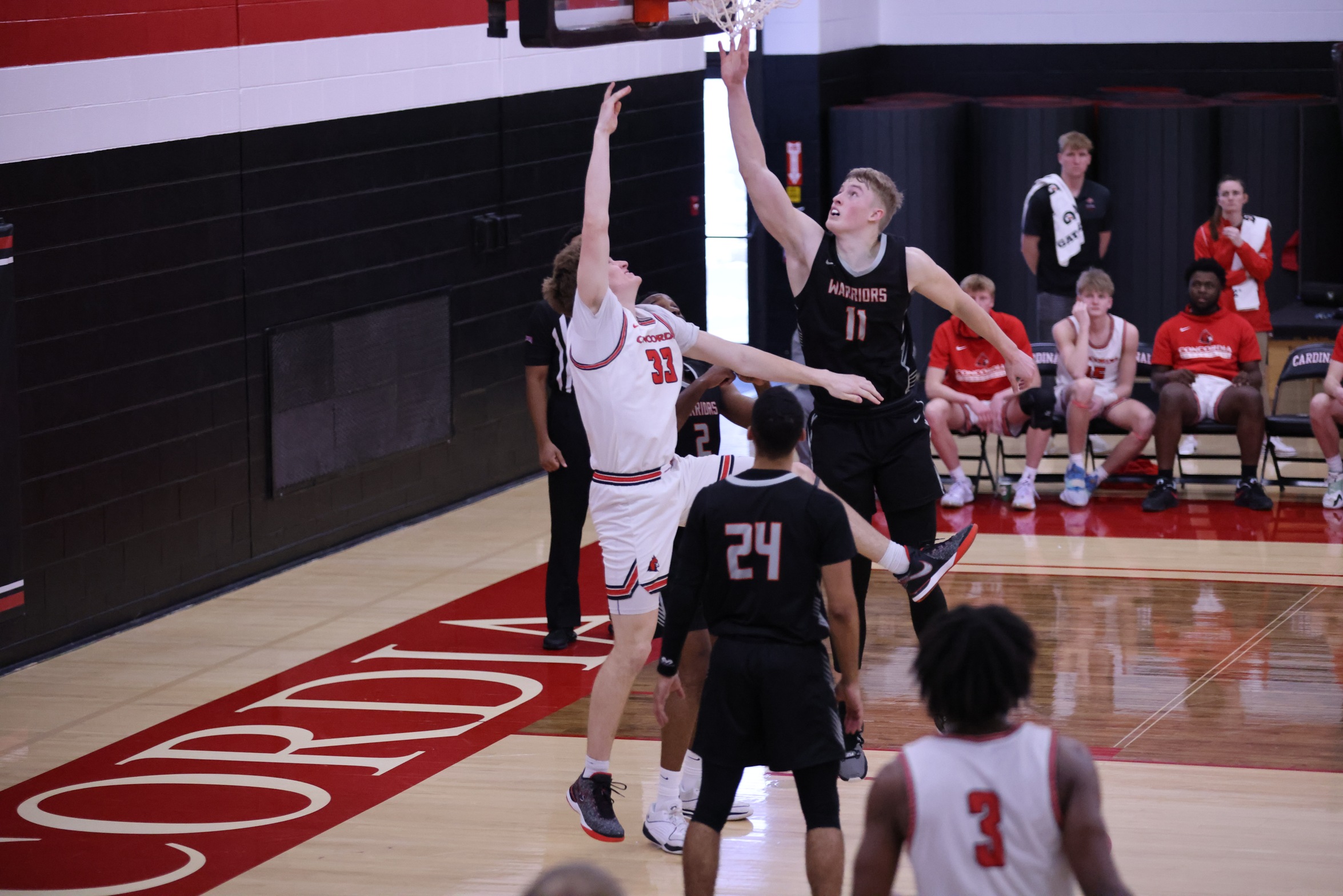 Men's Basketball falls on late rally by Cleary
