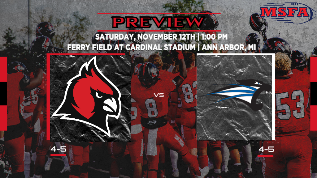 WEEK 10 GAME NOTES: Football hosts Saint Francis for Senior Day