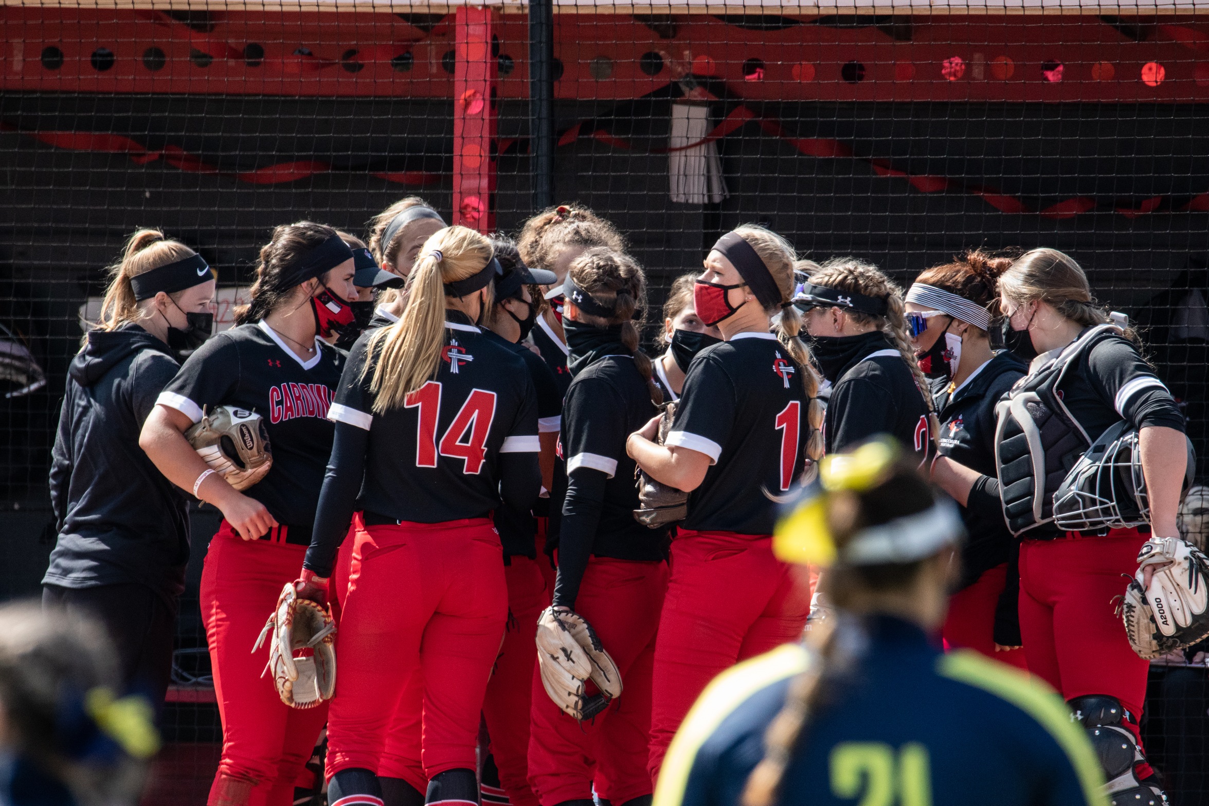 Season Preview: Softball looks to build on last year's success