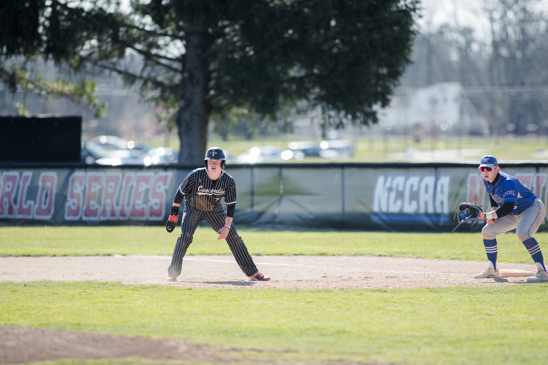 Baseball splits with Madonna to close out regular season