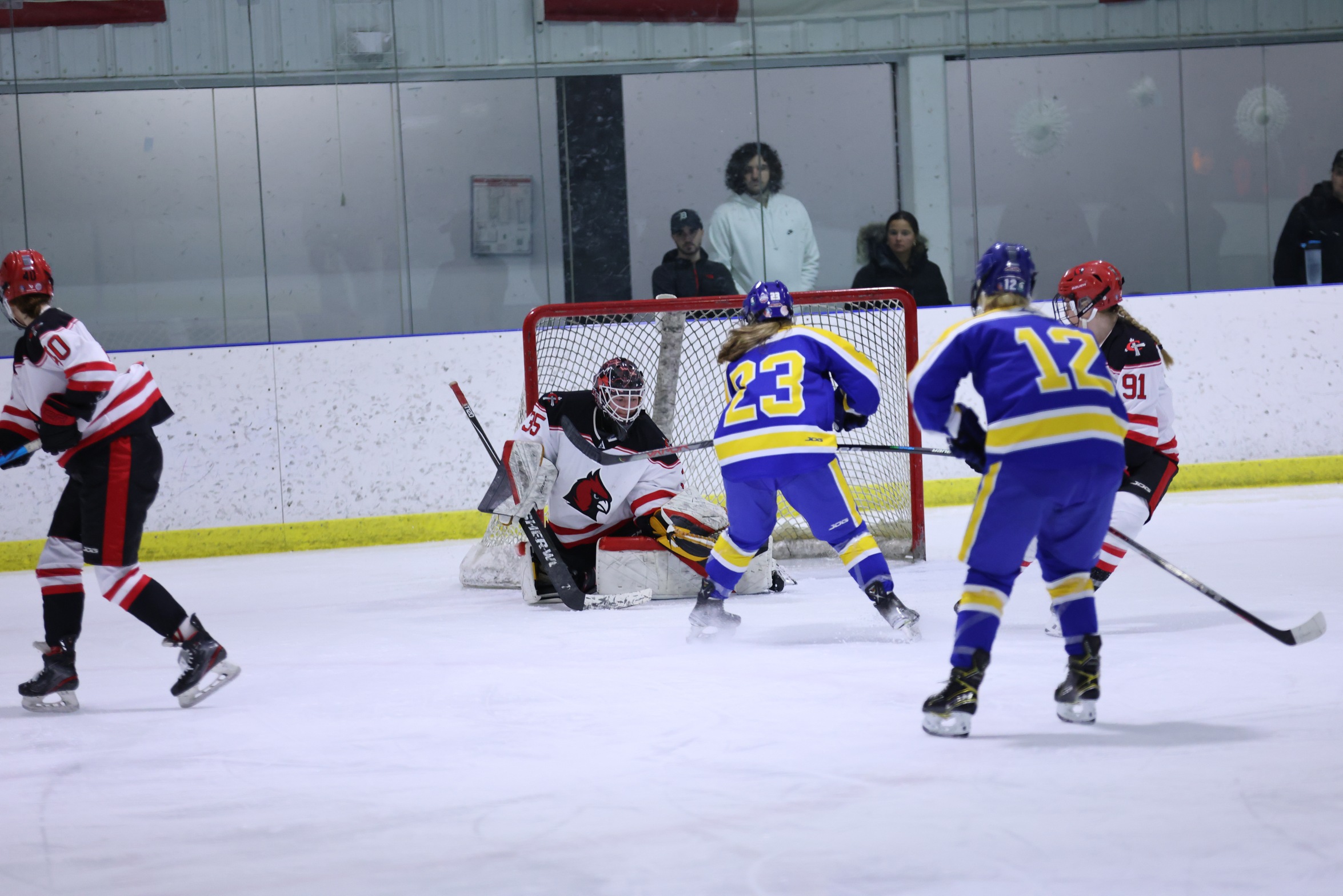 Women's Hockey falls in defensive battle at #7 Michigan