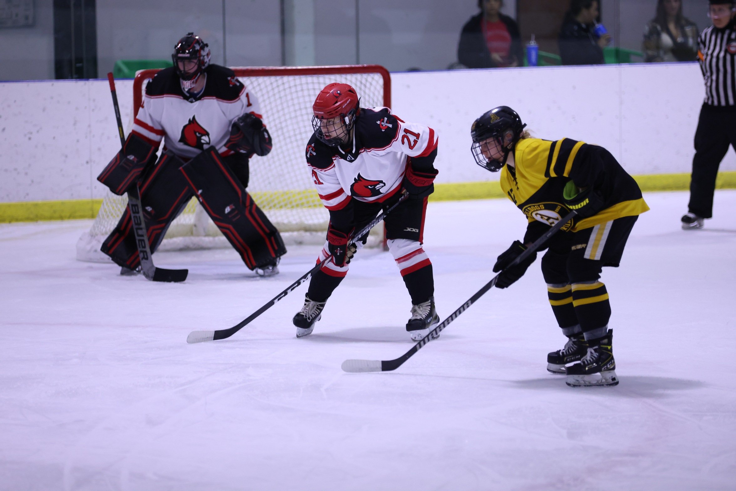 Women's Hockey downed at Indiana Tech