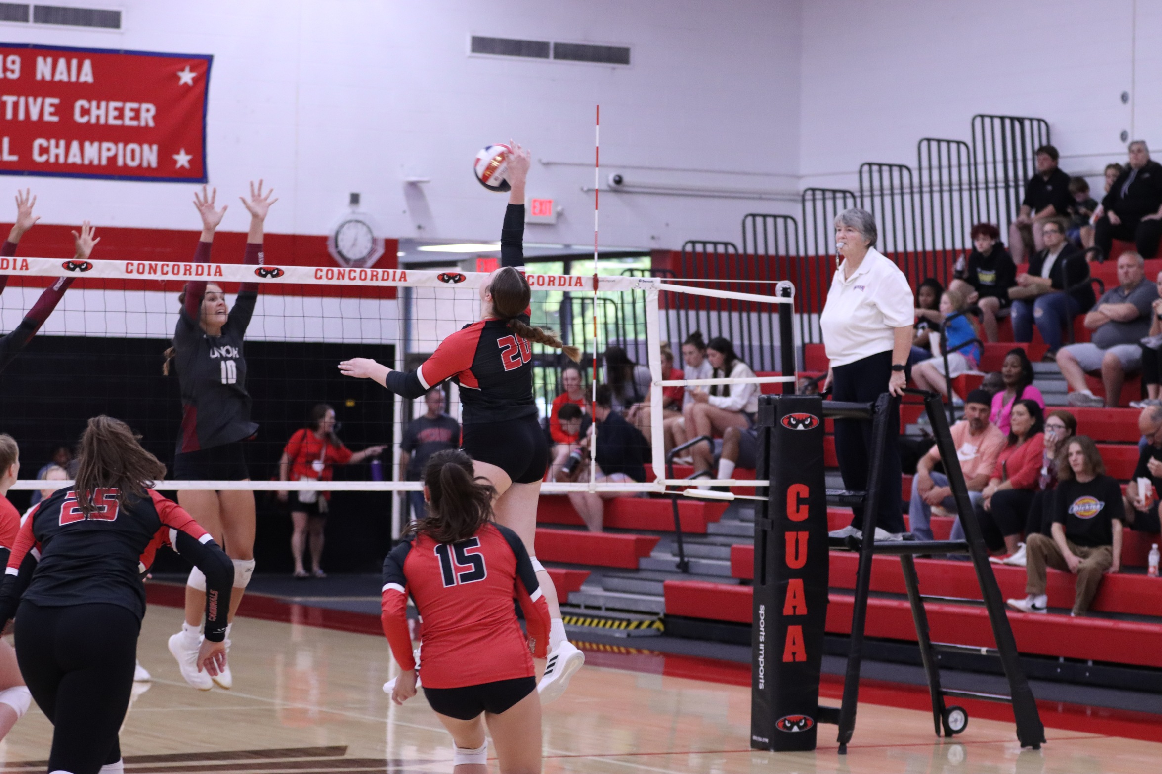 Volleyball takes down Rochester in tough 4-set match