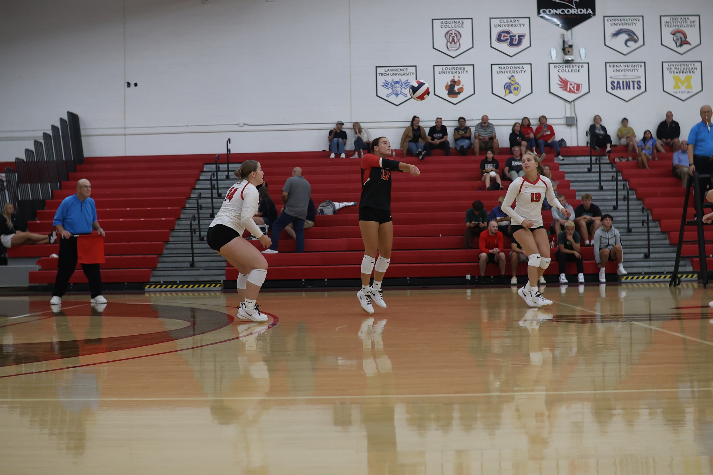 Volleyball falls to St. Francis