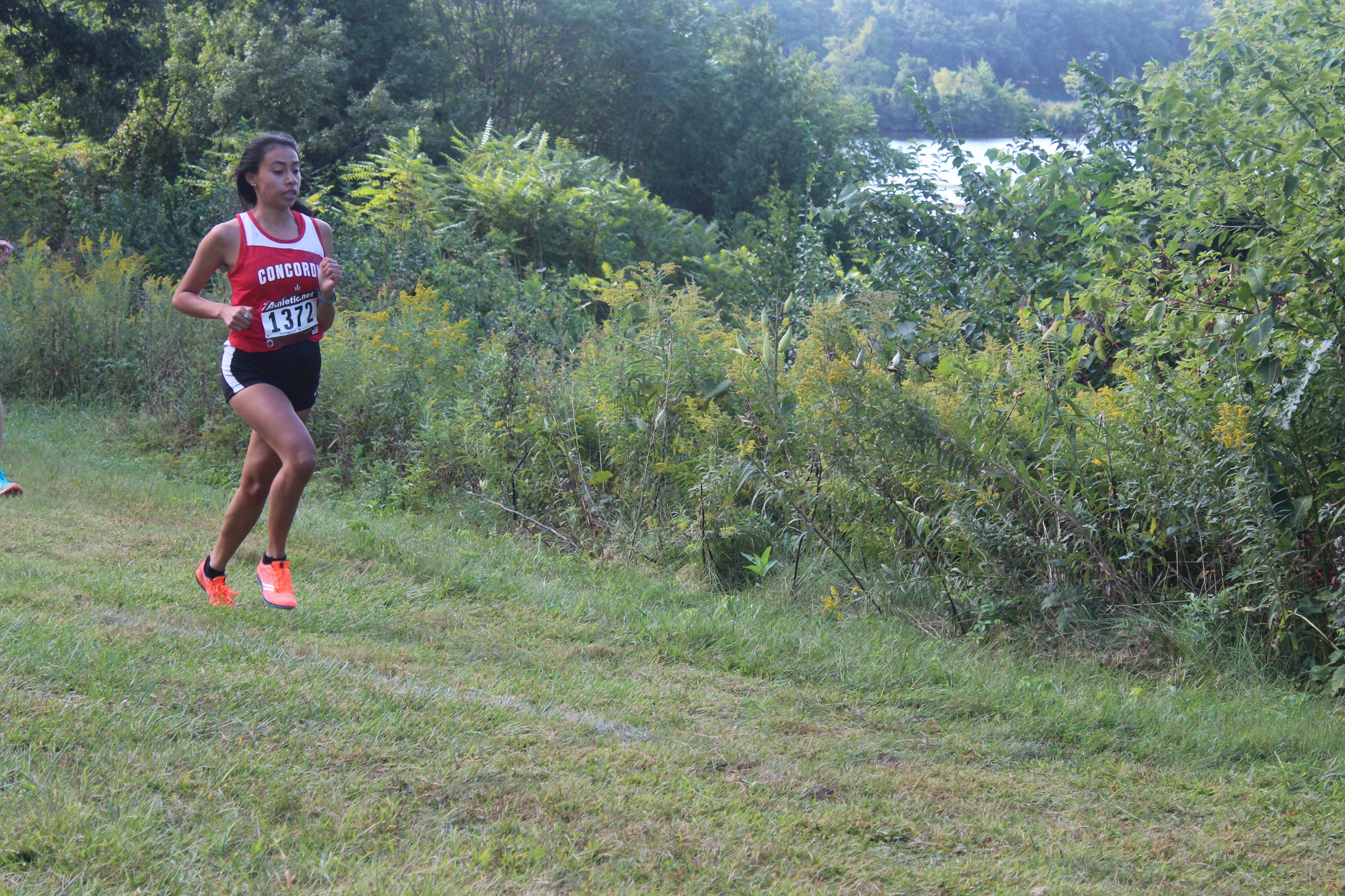 Women's Cross Country takes third at Concordia Invite