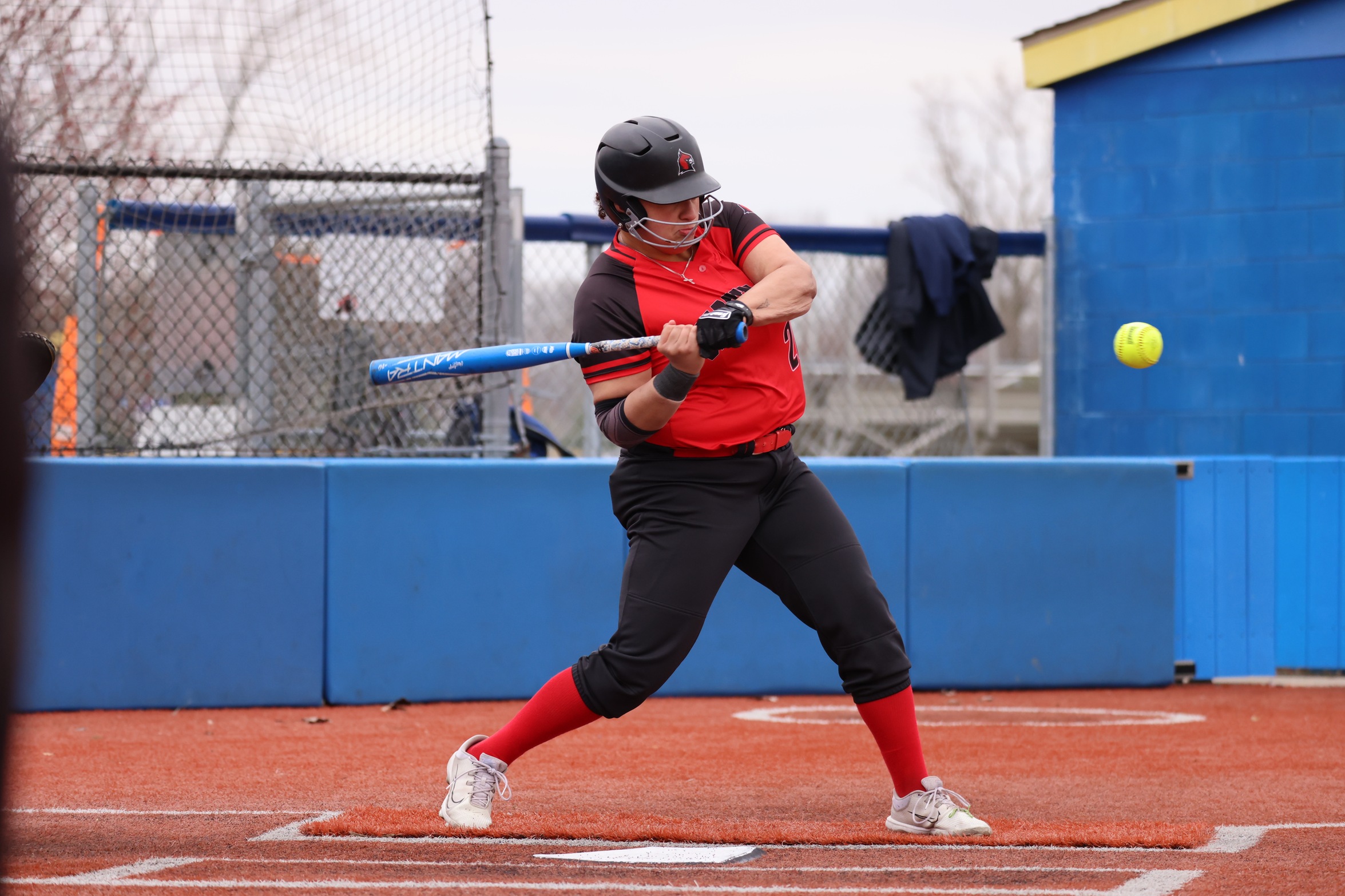Softball splits series on Saturday with Golden Eagles