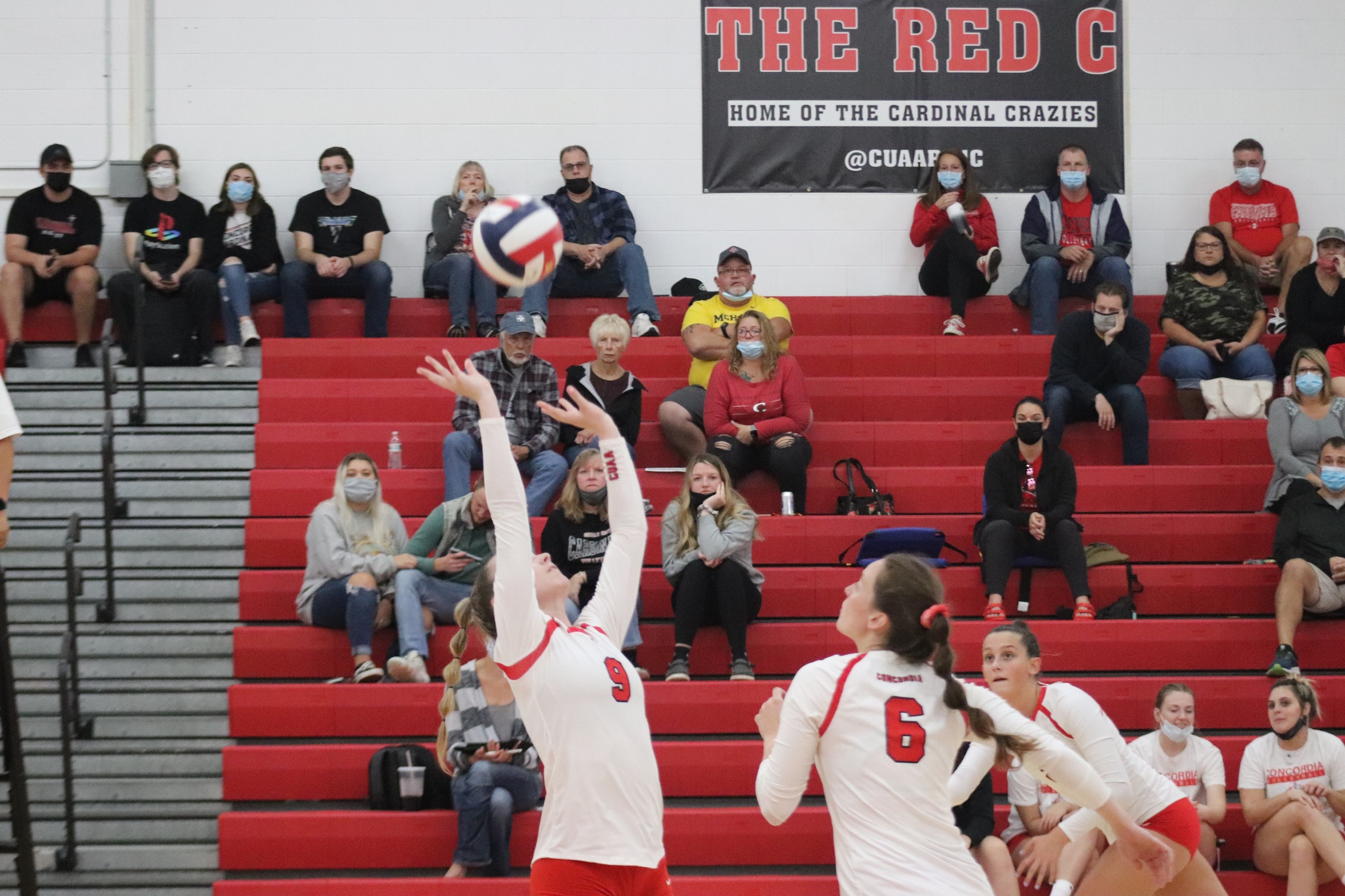 Cardinals battle back from 2 set deficit to take down the Gray Wolves