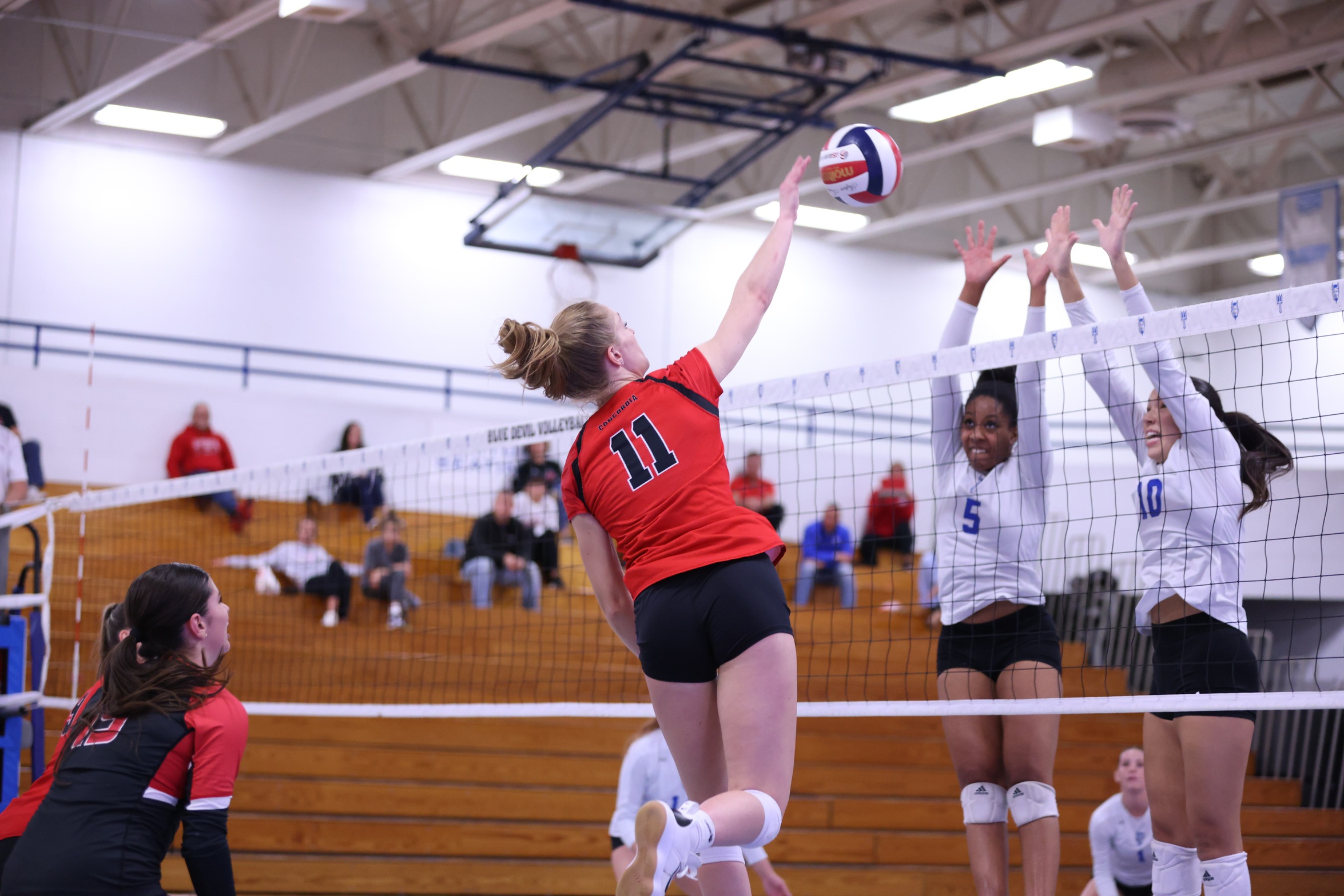 Volleyball falls in straight sets at Madonna