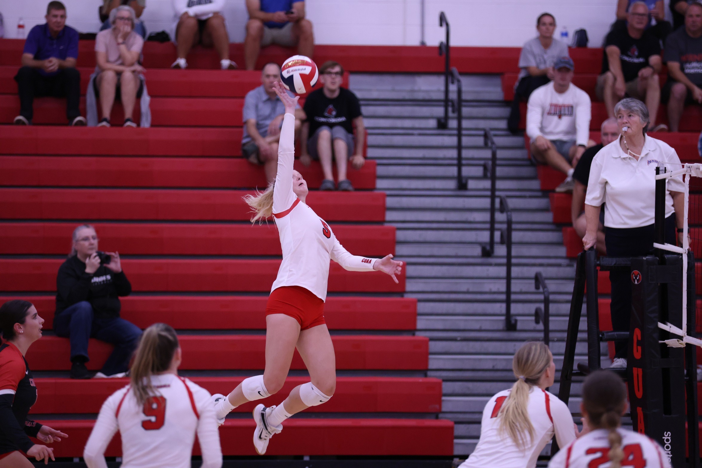 Volleyball falls to Indiana Tech in WHAC battle