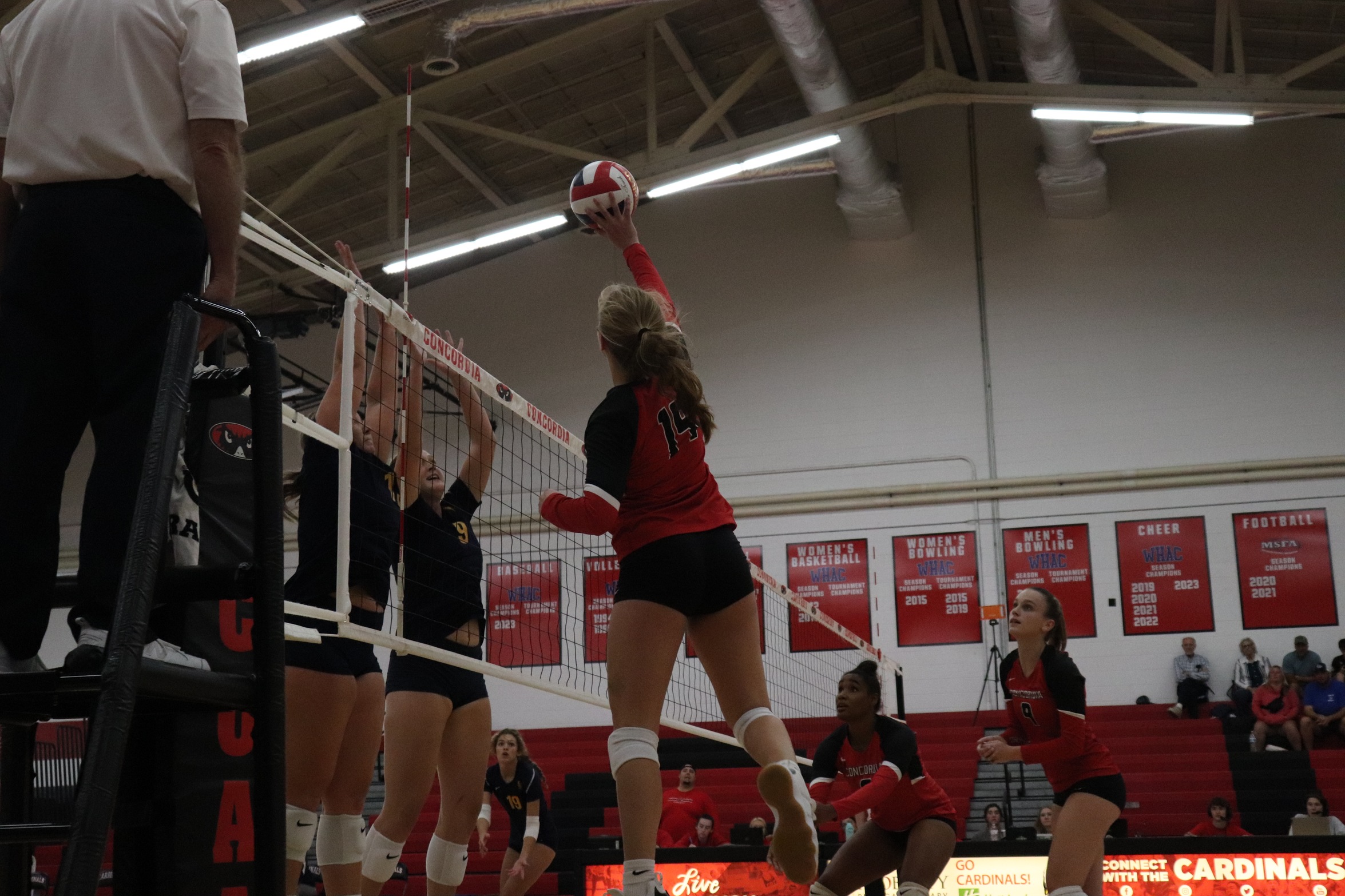 Volleyball defeats Siena Heights
