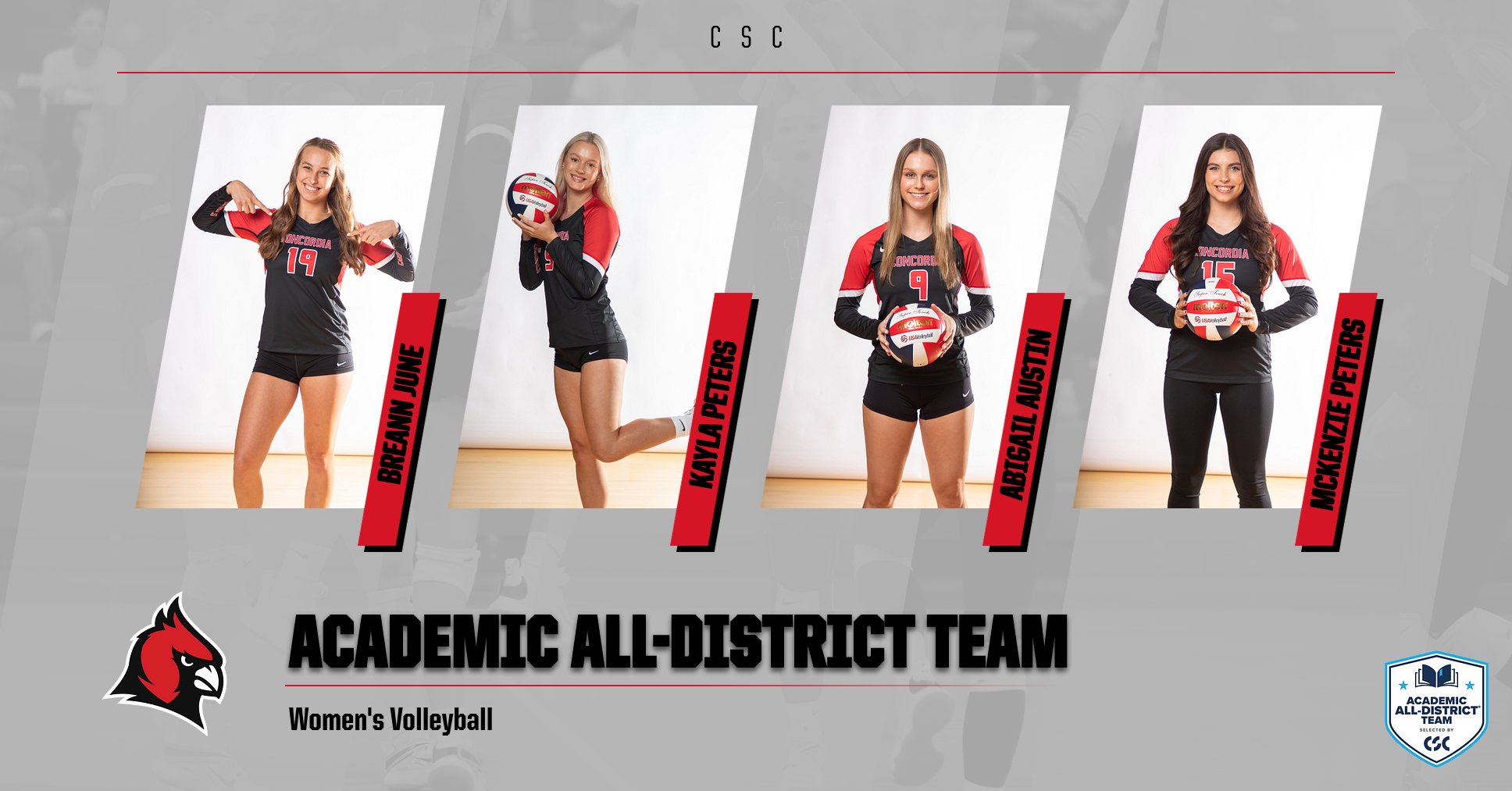 Volleyball has four honored on the CSC All-District Team