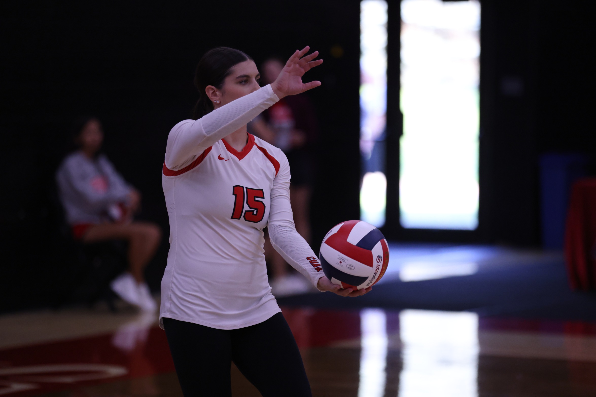 Volleyball sweeps final day at Florida Tournament